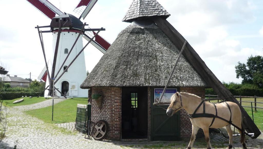 De Rosmolen Villa Ertvelde Kültér fotó