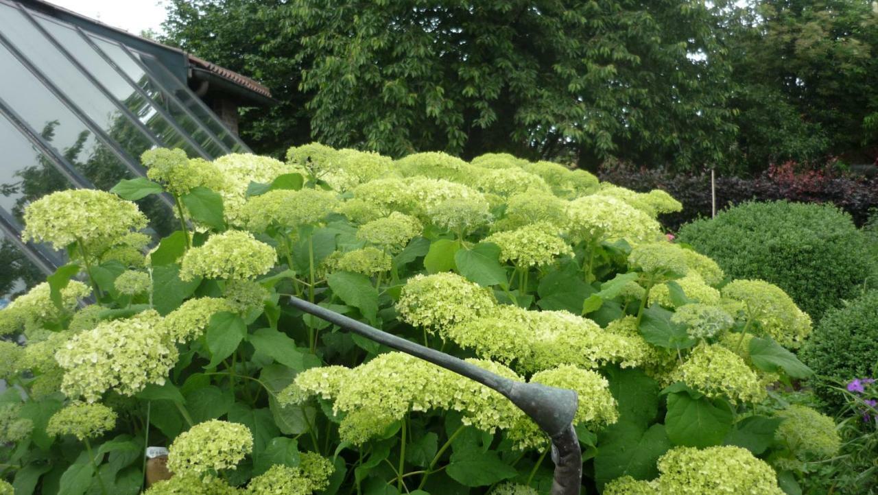 De Rosmolen Villa Ertvelde Kültér fotó